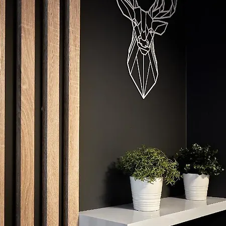 Tatra Square Daire *