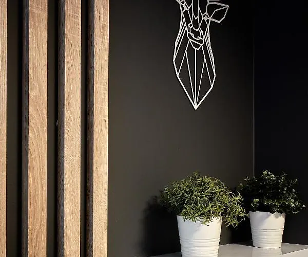 Tatra Square Apartment *